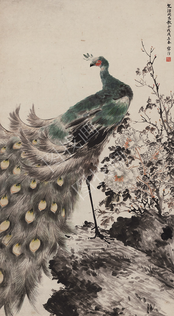 天津 江寒汀-孔雀图轴 80x146cm